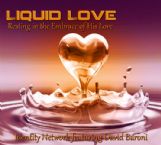 Liquid Love (MP3 Music Download) by Identity Network featuring David Baroni